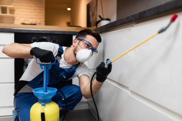 Best Affordable Pest Control Services  in Five Forks, SC