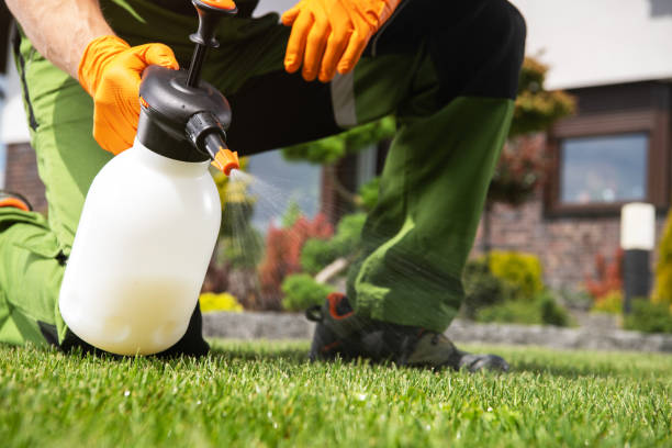 Five Forks, SC Pest Control Company