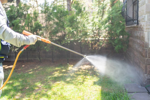 Best Best Pest Control Companies  in Five Forks, SC
