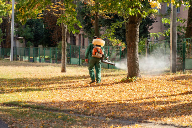 Best Residential Pest Control  in Five Forks, SC