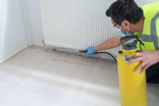Best Affordable Pest Control Services  in Five Forks, SC